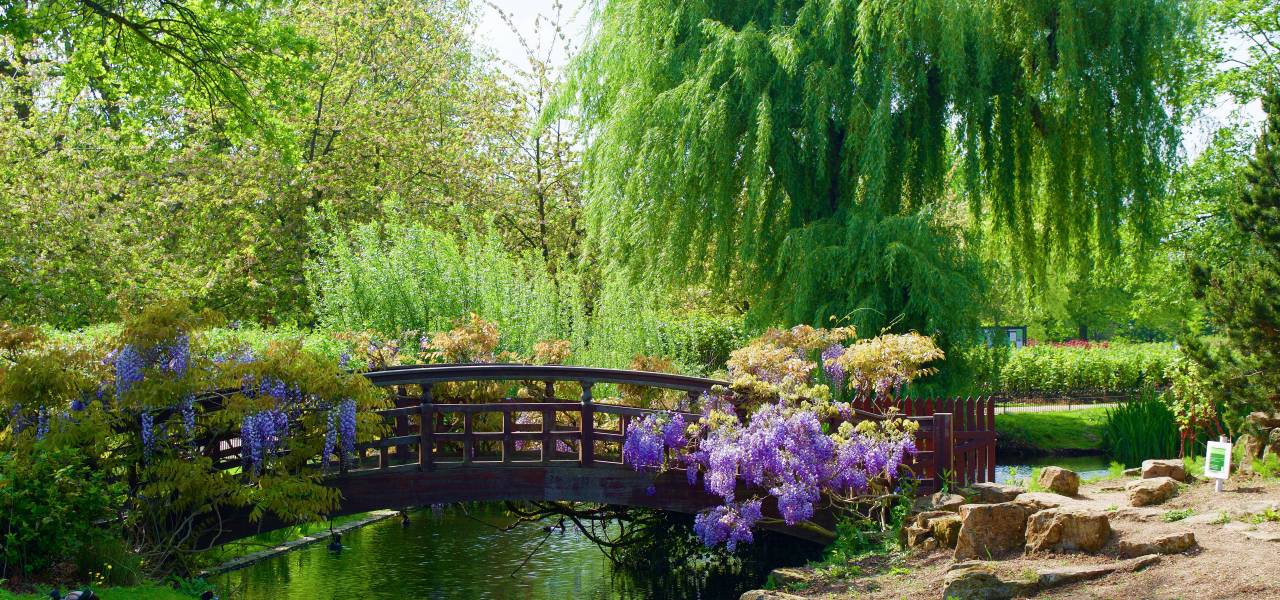 Regents Park Bridge